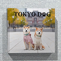 正方形ファブリックパネル（30cmx30cm）