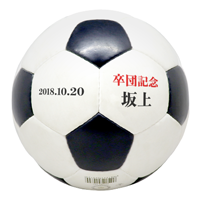 MIKASA サッカーボール ５号 検定球