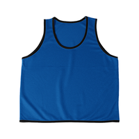 ブルー D-FACTORY プレミアムプロモーションビブス