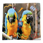 ソフトタッチ ミニタオル