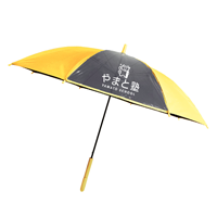 耐風子供ジャンプ傘55cm（10本セット）