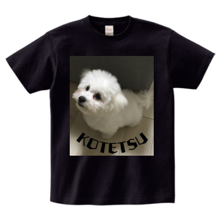 愛犬の写真を大胆プリントしたオリジナルTシャツ
