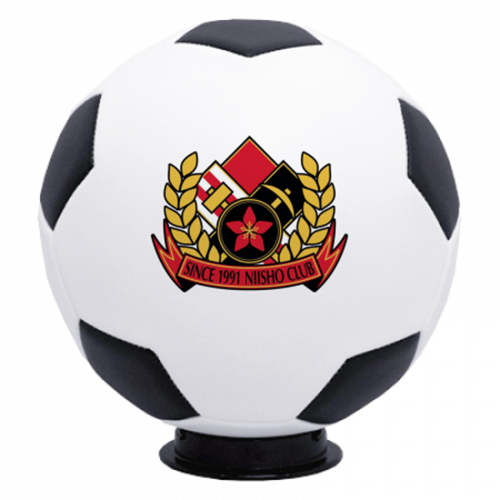 チームのエンブレムをプリントした記念のサッカーボール