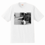 愛犬写真をプリントしてオリジナルTシャツを作成