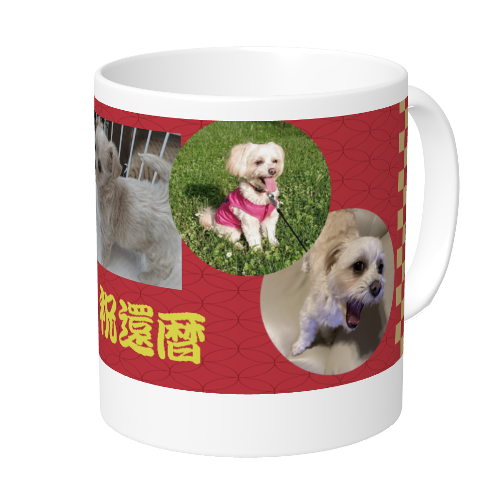 愛犬写真をプリントして還暦祝いのマグカップを作成！