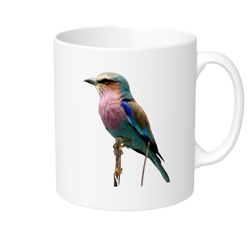 鳥の写真が鮮やかなオリジナルマグカップ