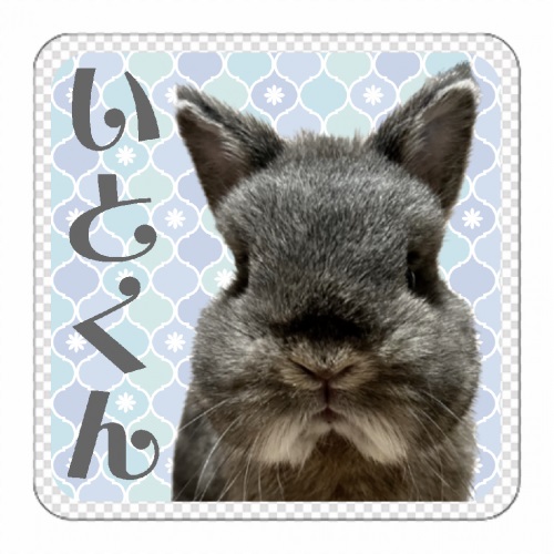 ペットのウサギの写真と名前をプリントした自作マグネット