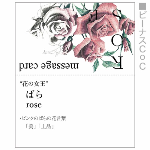 美しいバラのイラストが目を引く二つ折り名刺