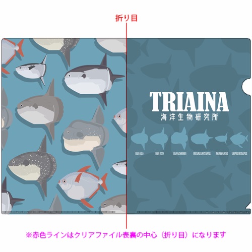 海洋生物の魅力を届けるブランドのオリジナルA4クリアファイル