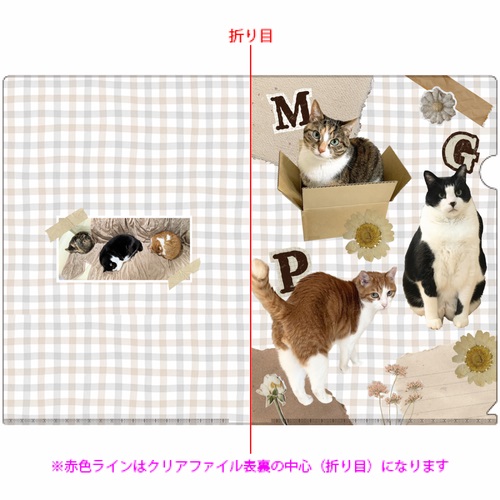 かわいい猫ちゃんたちのオリジナルA4クリアファイル