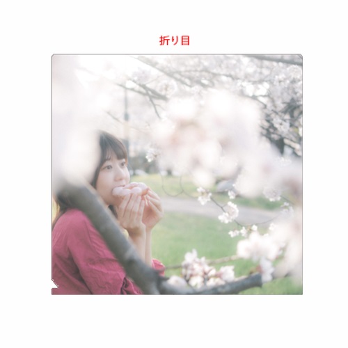 満開の桜と柔らかな光が美しいオリジナルチケットケース