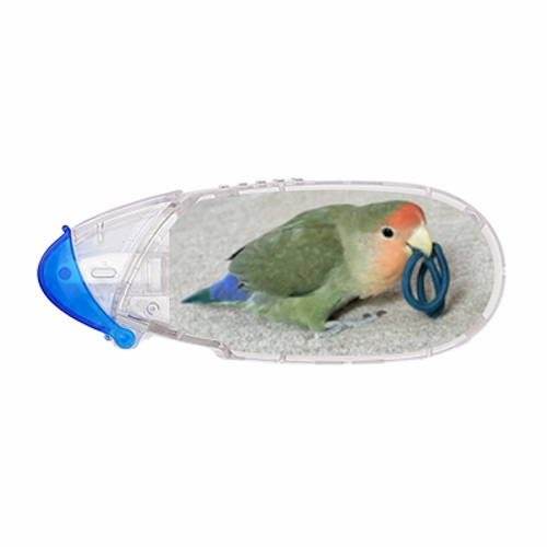 キュートなコザクラインコのオリジナルテープのり
