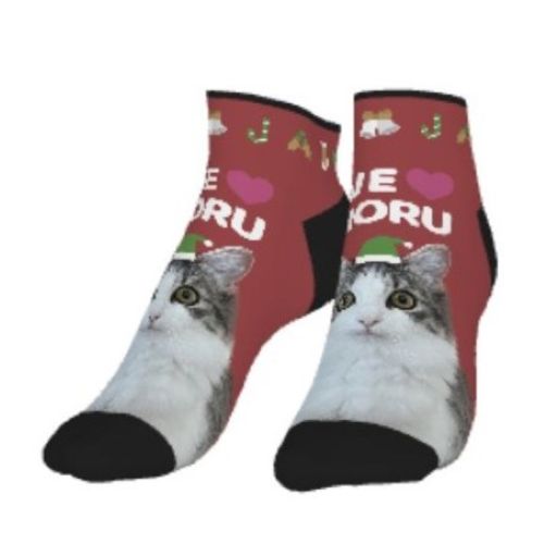 愛猫の写真をかわいいクリスマスソックスに！