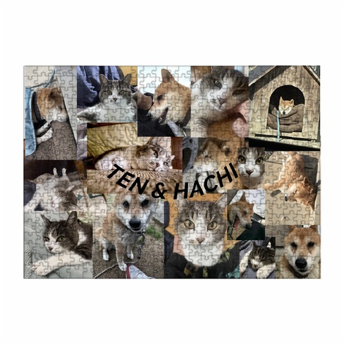 愛情たっぷり！ペット写真のコラージュパズル