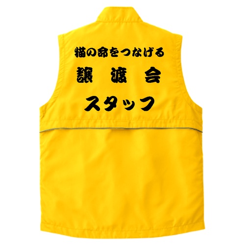 優しい想いが背中に光る!猫との縁を結ぶオリジナルベスト