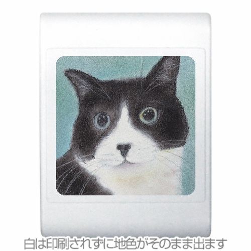パステル画家作！ネコちゃんの肖像画を角型クリップマグネットに