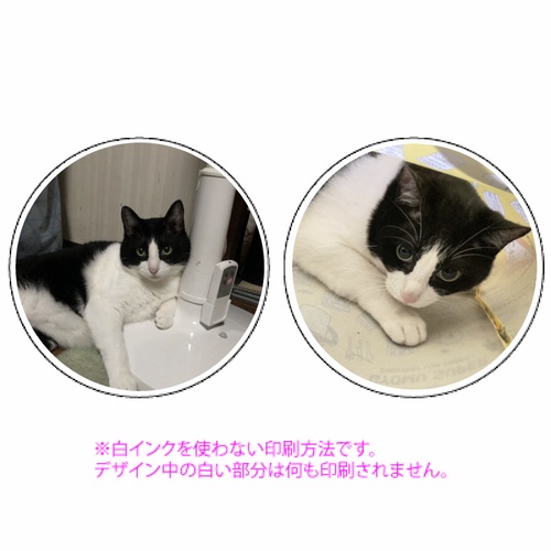 愛猫のかわいい写真を保存！オリジナル全面印刷 丸型クッション