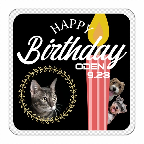 ネコちゃんのお誕生日祝い！オリジナル角型アクリルマグネット