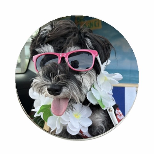 サングラス姿がキマってる！愛犬をプリントしたオリジナル缶