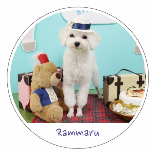 愛犬のコースターでおうち時間を。オリジナルアクリルコースター