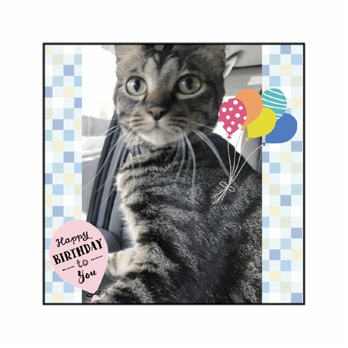 ネコちゃんのお誕生日記念オリジナル全面印刷 コースター