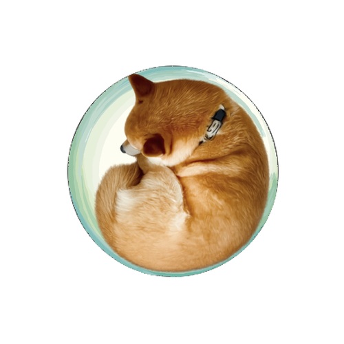 丸型を活かしたユニークな愛犬のオリジナルコースター