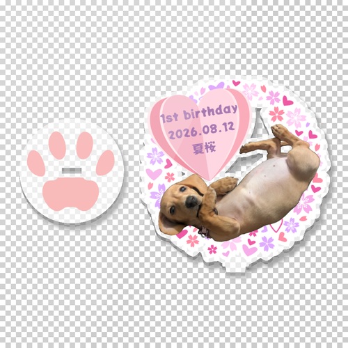 はじめての誕生日をお祝い！愛犬の写真をつかったアクリルスタンド