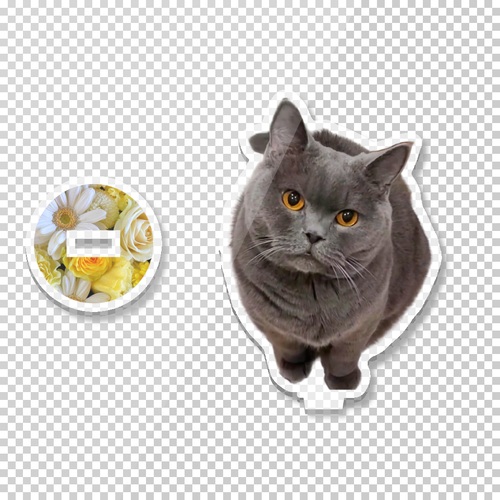 愛猫の上目遣いショットアクリルスタンド