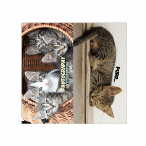 猫 写真 マスクケース 趣味・ハンドメイド
