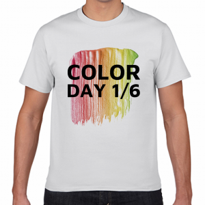 カラーの日 1／6 Tシャツ 今日は何の日